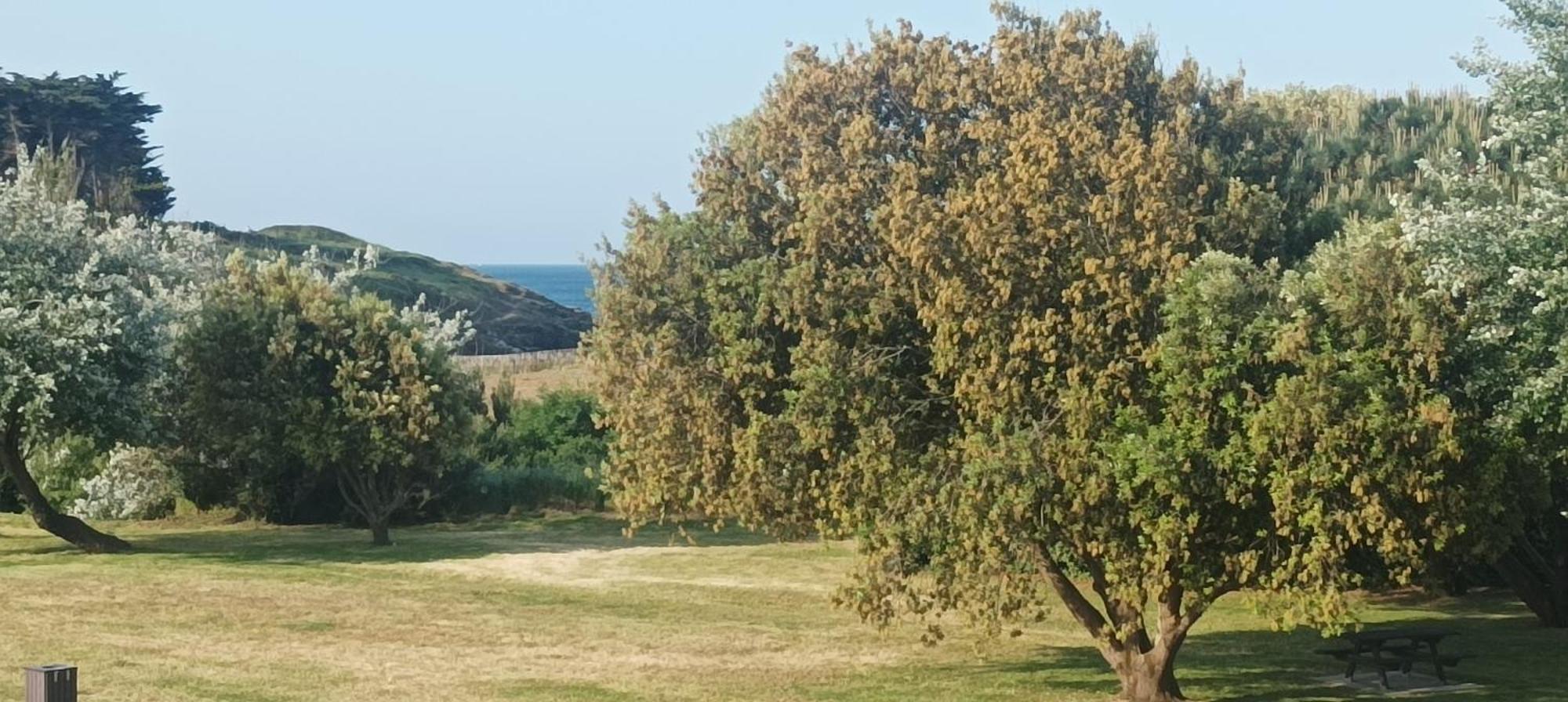 Appartement Vue Mer Exceptionnelle A 100M Tres Belle Plage Saint-Gildas-de-Rhuys Kültér fotó